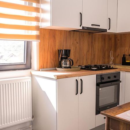 Nina House Apartment Târgu Jiu Стая снимка