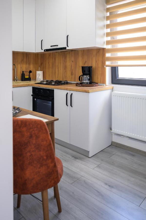 Nina House Apartment Târgu Jiu Екстериор снимка